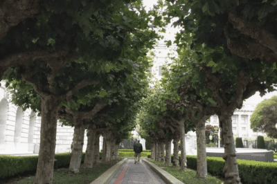 beyond coaching, executive leader walking into the future of the leadership journey